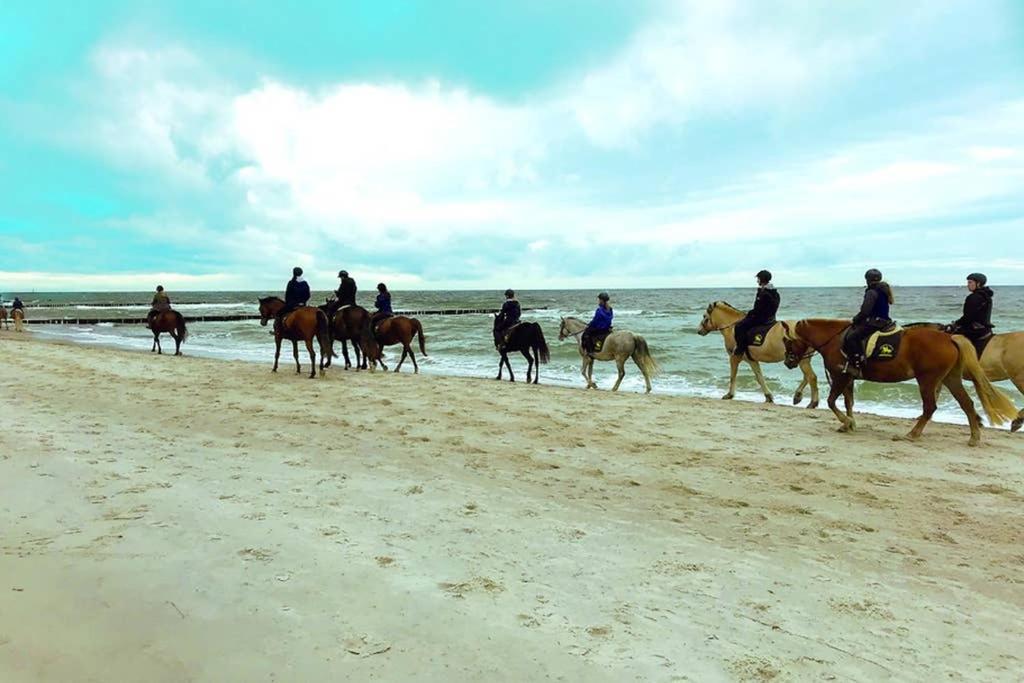 Ostsee-Ferienwohnung Uhlnuest Graal-Mueritz Gelbensande Extérieur photo