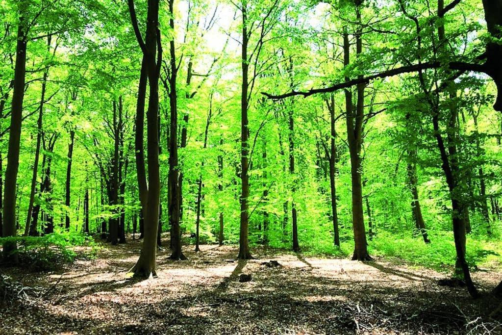 Ostsee-Ferienwohnung Uhlnuest Graal-Mueritz Gelbensande Extérieur photo